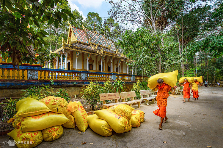 Novice monks carry rice bags that have just been harvested for the winter-spring crop. The image of monks harvesting rice or helping with the pagoda's construction is a common sight in the region.