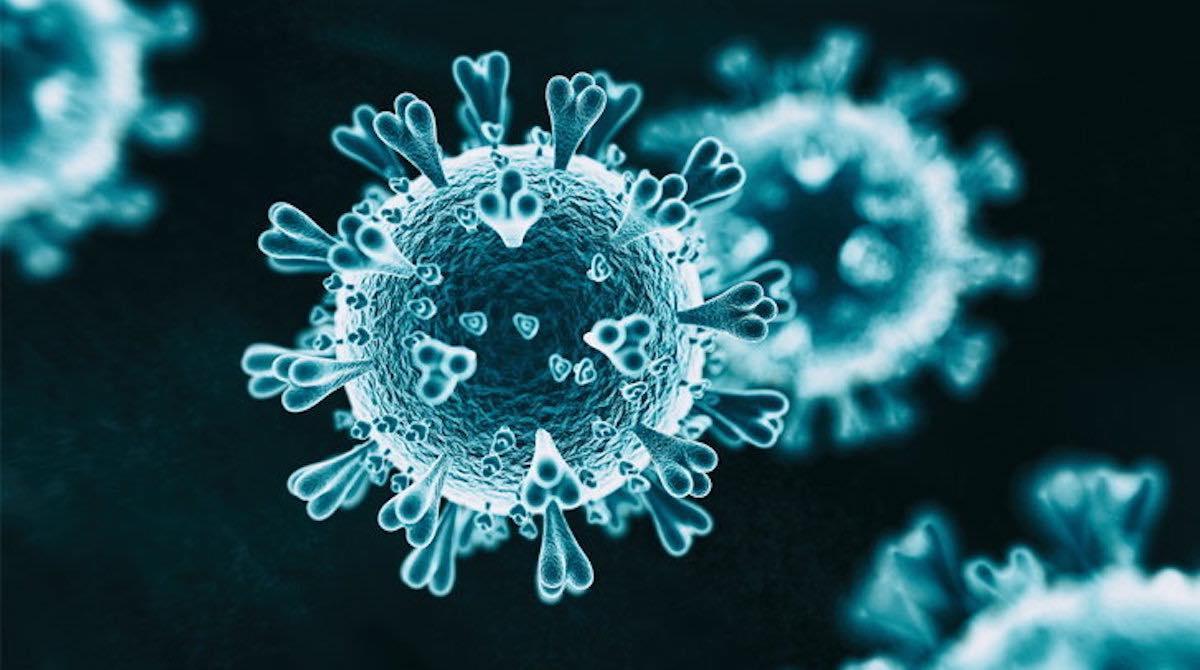 Image of a coronavirus under a microscope.