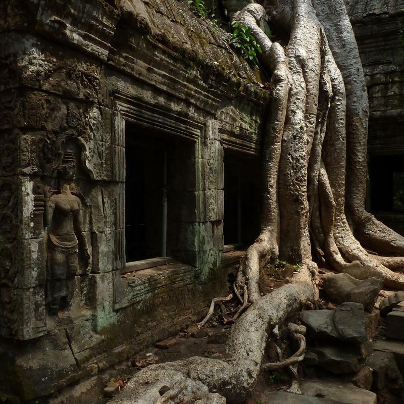 Ta Prohm is a UNESCO World Heritage Site that was also featured in Angelina’s movie ‘Tomb Raider’, during the shoot of which the actress first discovered the Southeast Asian country