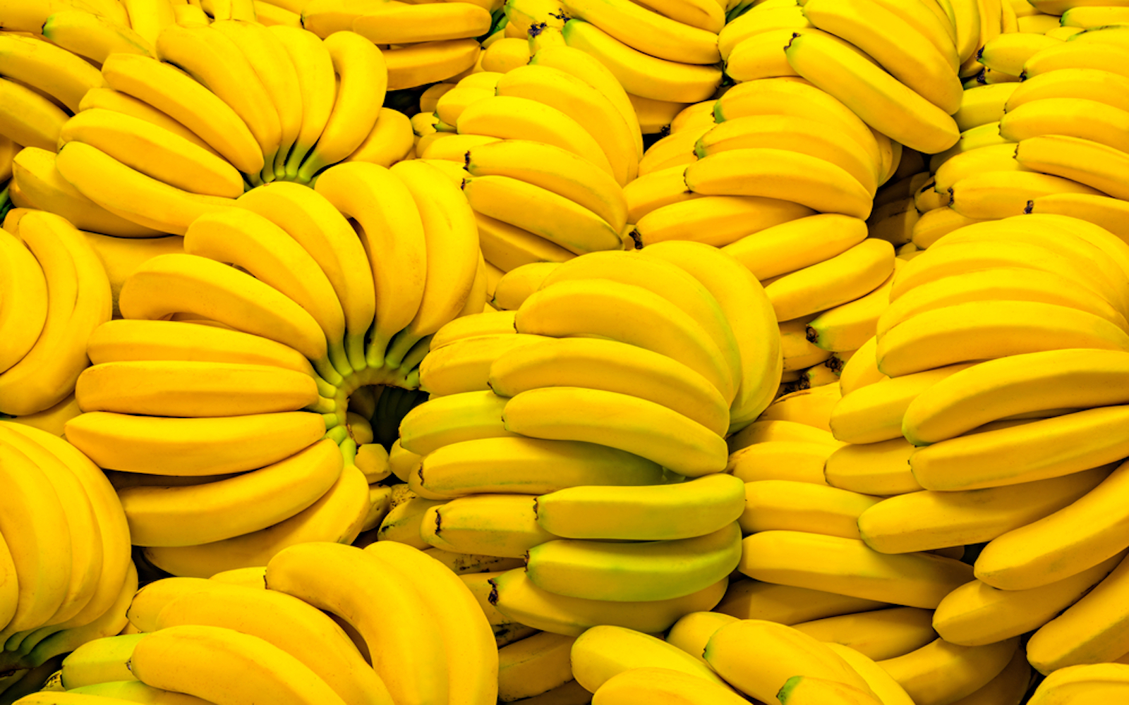 China market entry benefits yellow bananas from Cambodia – Khmer Post Asia