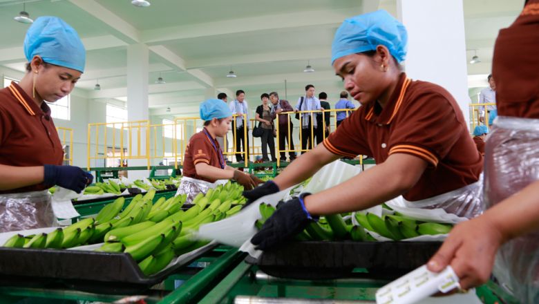 Exports climb 20% on $14B worth of Cambodian goods