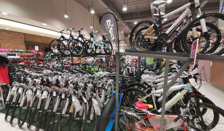 Bicycle export nets $500 million in ten months