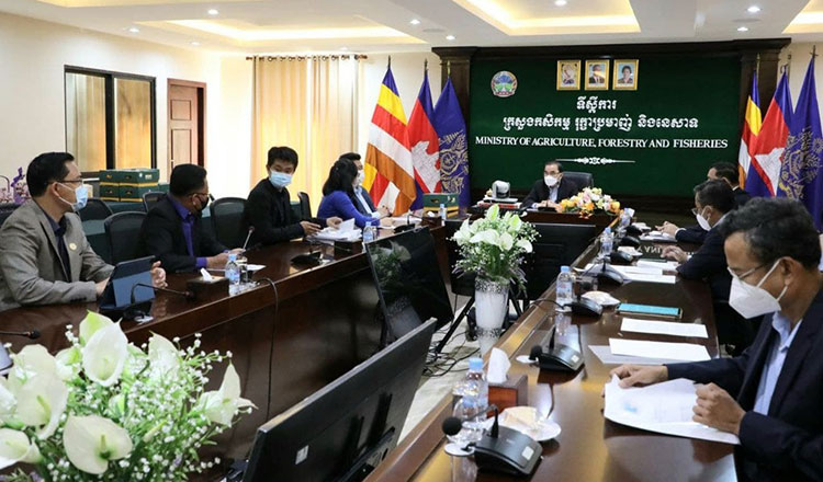 Chinese investment to drive presence of Cambodian agricultural products in international markets