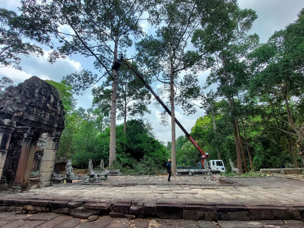 APSARA National Authority removes high-risked trees at Banteay Kdei temple