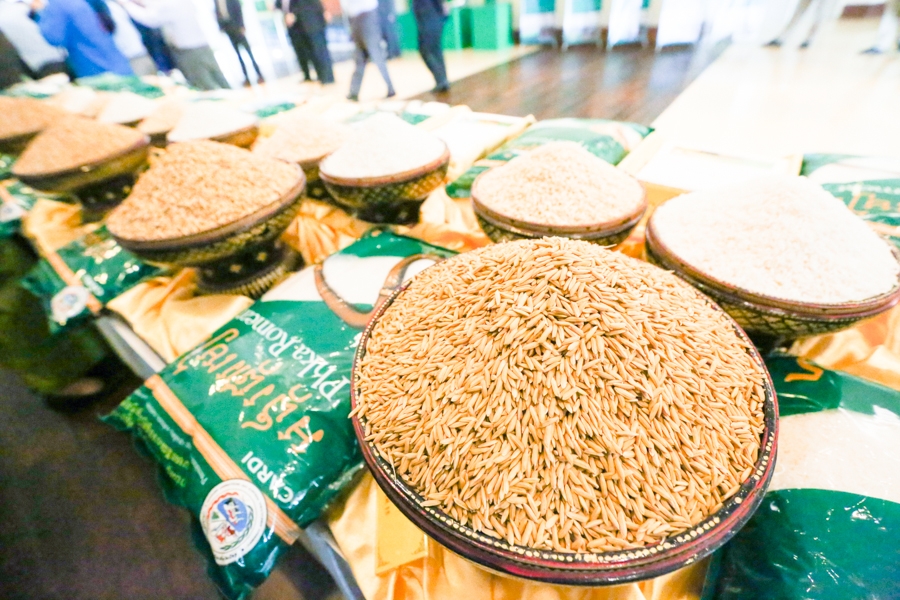 Cambodia to Play Key Role in Meeting Global Rice Demand
