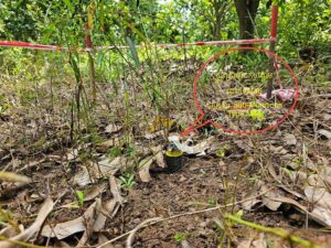 Thailand’s Landmine Allegations: Hypocrisy, Provocation, and a Pretext for Aggression